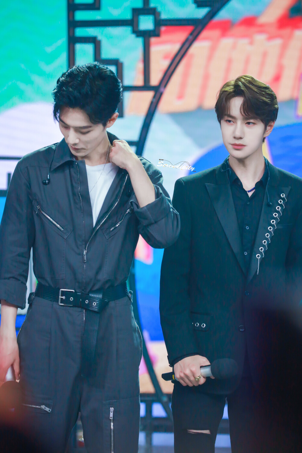 王中王一肖中特，探尋背后的故事與趨勢（2019年觀察），探尋王中王一肖背后的故事與趨勢，2019年觀察報告