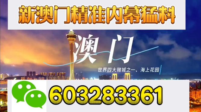 新澳門開獎結(jié)果，探索與解析，新澳門開獎結(jié)果深度解析與探索