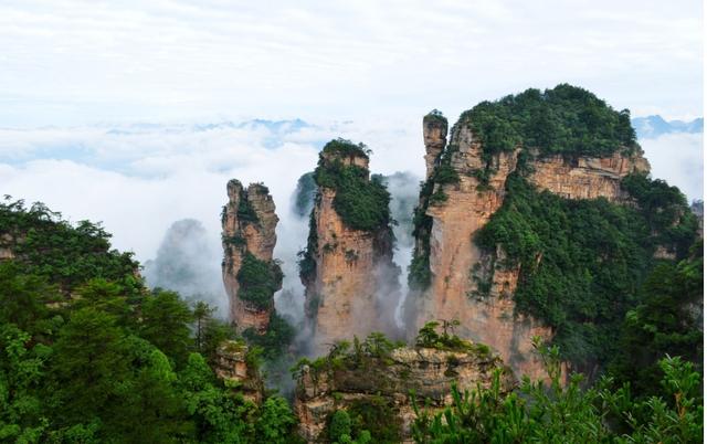 張家界森林公園簡介，自然之美的獨特呈現(xiàn)，張家界森林公園，自然之美的獨特呈現(xiàn)
