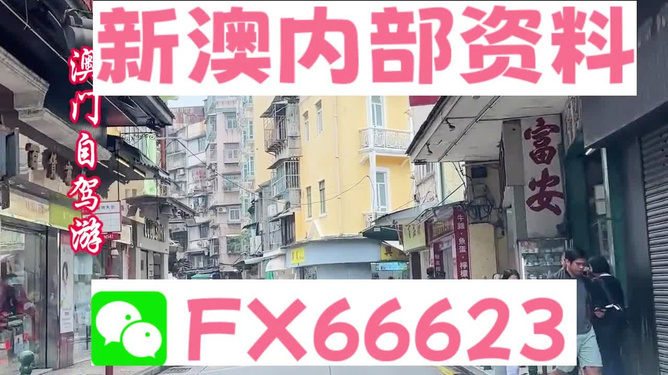 新澳精準(zhǔn)資料免費(fèi)提供，探索與解析，新澳精準(zhǔn)資料解析與探索，免費(fèi)提供的深度洞察