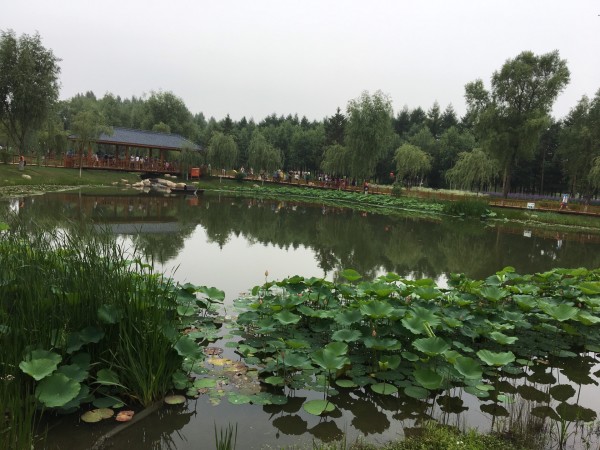 長春一日游哪里好玩？精選一日游景點推薦，長春一日游精選景點推薦，探尋最佳一日游路線！