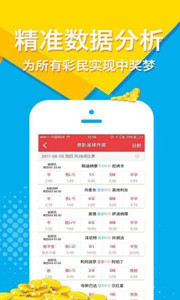 王中王四肖選一碼，揭秘彩票背后的秘密策略與技巧，揭秘彩票策略與技巧，王中王四肖選一碼指南