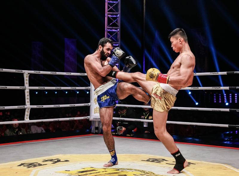 王中王網(wǎng)四肖主一碼，深度解析與SEO優(yōu)化策略，王中王網(wǎng)四肖主一碼，深度解析與SEO優(yōu)化策略全攻略