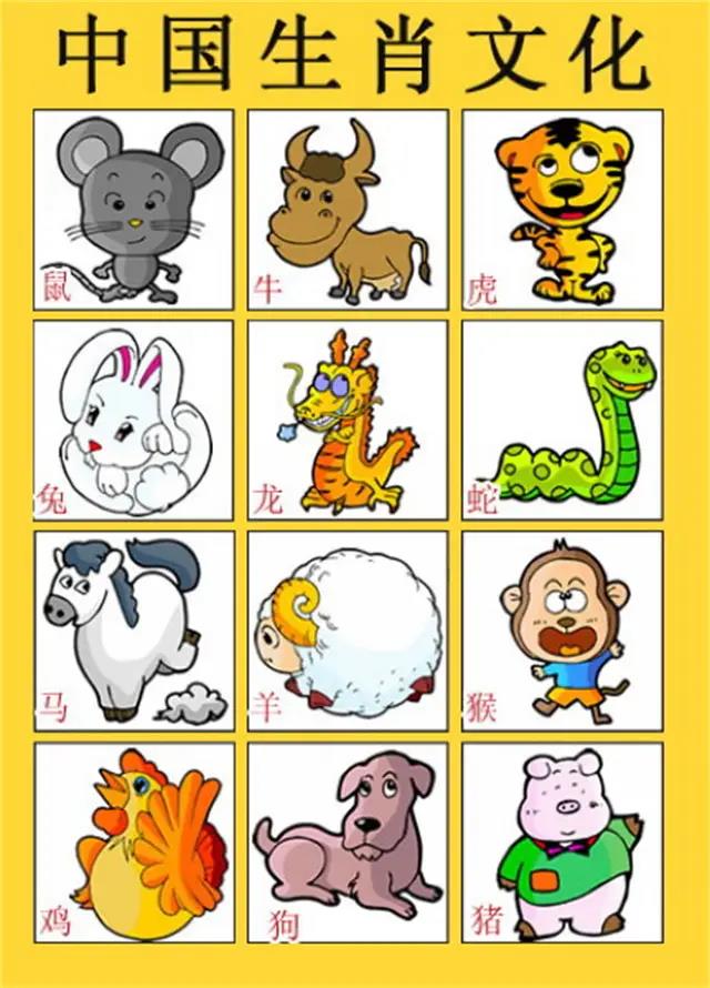 一肖有哪些生肖——生肖文化深度解析，生肖文化深度解析，揭秘十二生肖中的一肖奧秘