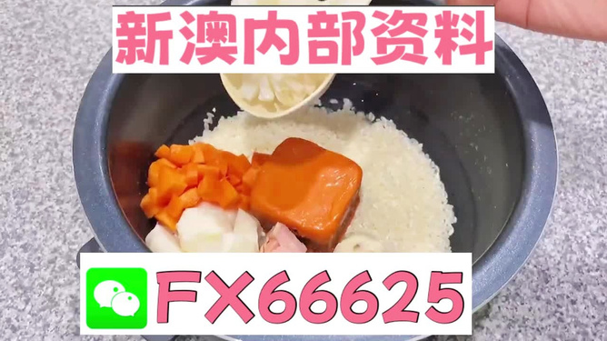 新奧精準(zhǔn)免費(fèi)資料提供，探索與實(shí)踐的完美結(jié)合，新奧精準(zhǔn)免費(fèi)資料探索，實(shí)踐與完美結(jié)合的探索之旅