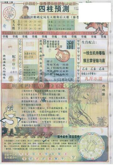 王中王動(dòng)物一肖圖，深度解析與SEO優(yōu)化，王中王動(dòng)物一肖圖深度解析與SEO優(yōu)化策略探討