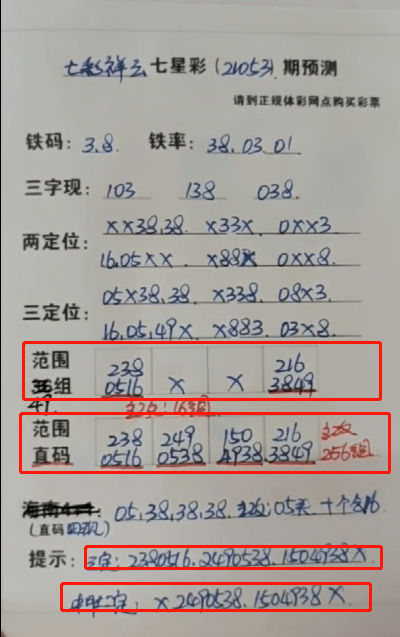 鐵算盆王中王中特一肖，揭秘背后的秘密與策略，揭秘鐵算盆王中王特一肖背后的秘密與策略之道