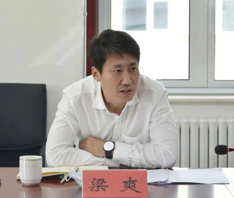 海淀區(qū)副區(qū)長(zhǎng)馮燕，領(lǐng)導(dǎo)才能與治理智慧的展現(xiàn)，海淀區(qū)副區(qū)長(zhǎng)馮燕，領(lǐng)導(dǎo)力與治理智慧的展現(xiàn)