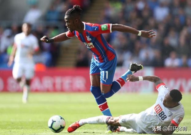 王中王118一肖中特，揭秘精準預測的秘密，揭秘王中王118精準預測一肖中的秘密