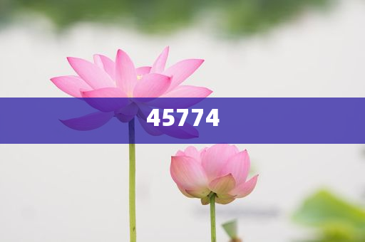 探索澳門(mén)正版免費(fèi)資源，未來(lái)的趨勢(shì)與預(yù)測(cè)（至2025年），澳門(mén)正版免費(fèi)資源趨勢(shì)探索與預(yù)測(cè)，未來(lái)展望至2025年