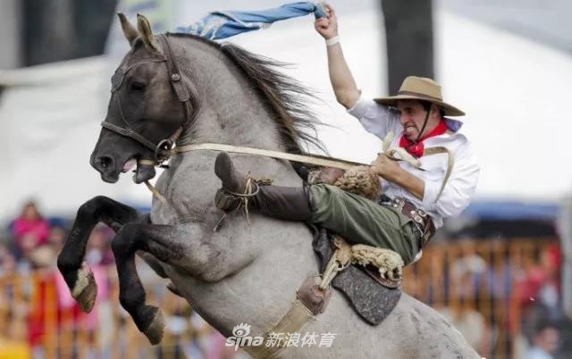 王中王四不像一肖中馬——探尋神秘生肖的魅力，探尋神秘生肖馬之魅力，王中王四不像一肖中馬揭秘