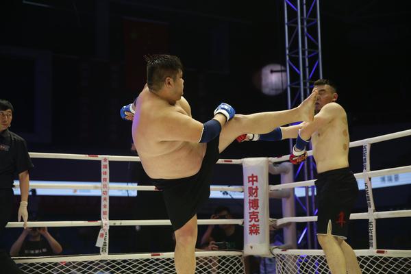 特特馬王中王一碼一肖，揭秘背后的秘密與探索SEO優(yōu)化策略，特特馬王中王一碼一肖，揭秘背后的秘密與SEO優(yōu)化策略探索