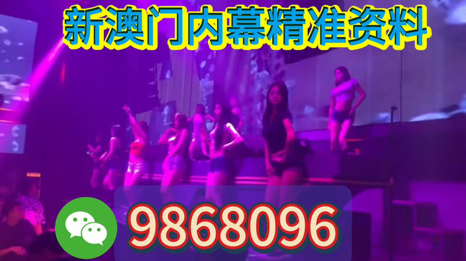 新澳門今晚開特馬，探索澳門博彩文化背后的秘密，澳門博彩文化揭秘，探尋特馬背后的秘密