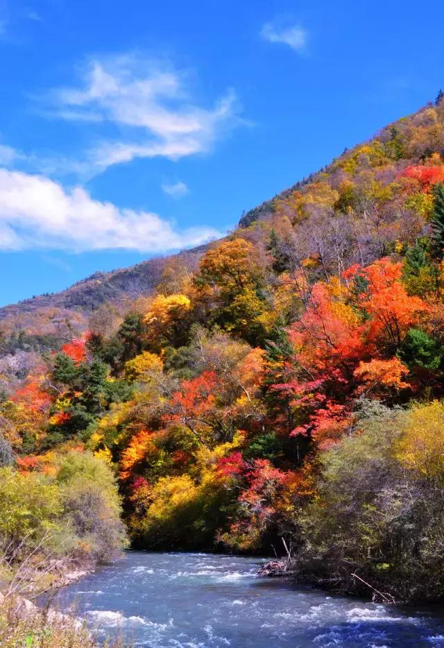 自駕去九寨溝的最佳路線指南，自駕九寨溝，最佳路線指南