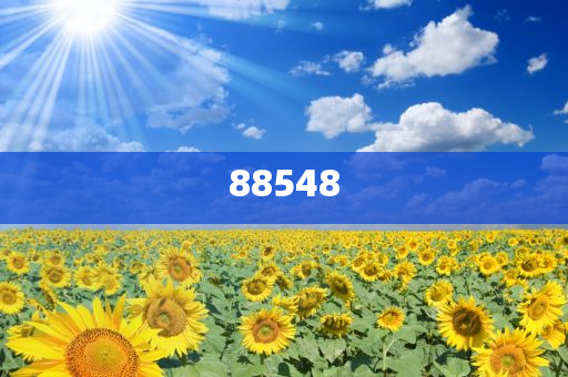 探索未來，2025新澳精準(zhǔn)免費大全詳解，揭秘未來，2025新澳精準(zhǔn)免費指南詳解