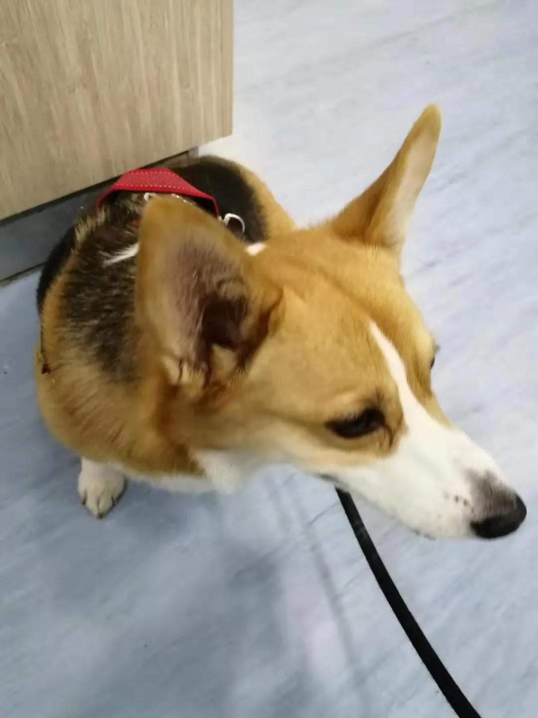 腎炎，深入了解與治療策略，腎炎，全面解析與治療指南