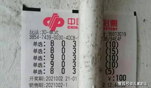 揭秘王中王平特一肖，背后的故事與奧秘，揭秘王中王平特一肖背后的故事與奧秘探秘