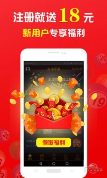 關(guān)于王中王中特免費(fèi)一肖的探討，王中王中特免費(fèi)一肖，深度探討與解析