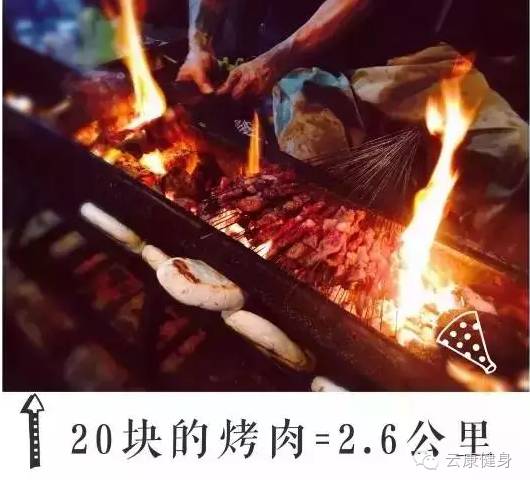 王中王313期指一生肖——揭秘生肖運(yùn)勢(shì)與人生軌跡的獨(dú)特聯(lián)系，揭秘生肖運(yùn)勢(shì)與人生軌跡的獨(dú)特聯(lián)系，王中王313期指一生肖詳解