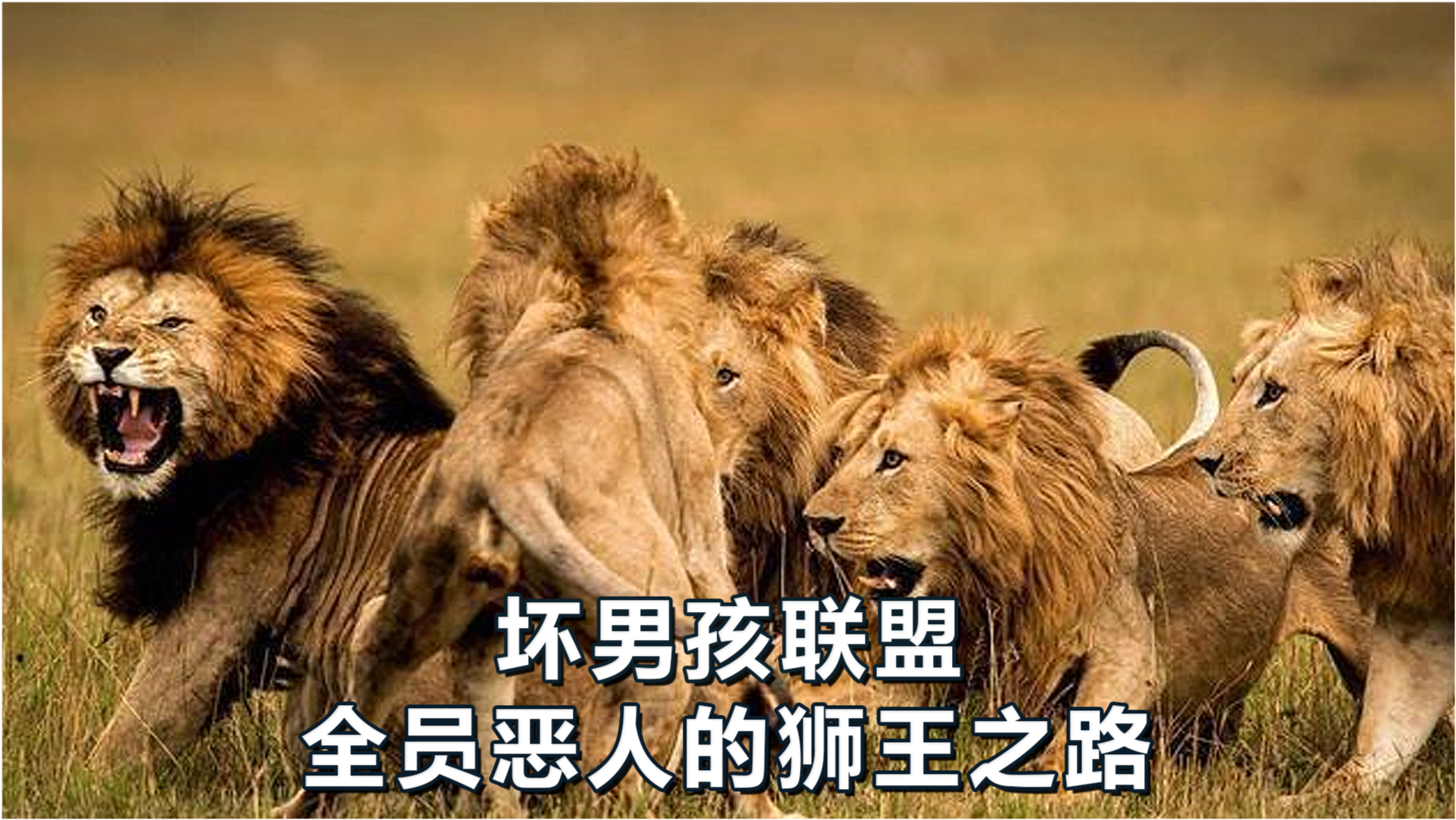 王中王必中一肖四不像圖——深度解析與探索，王中王必中一肖四不像圖深度解析與探索揭秘