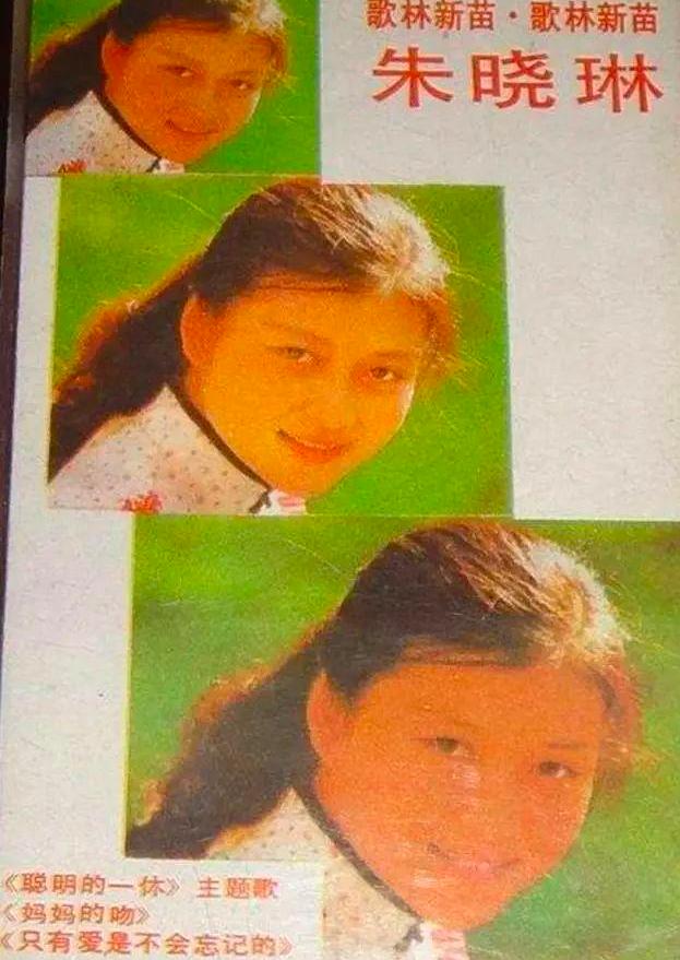 歌手朱曉琳個人資料，音樂世界的璀璨明珠，朱曉琳，音樂世界的璀璨明珠，個人資料大揭秘