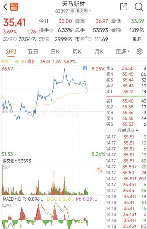 天馬微電子股票，投資前景深度解析，天馬微電子股票投資前景深度解析