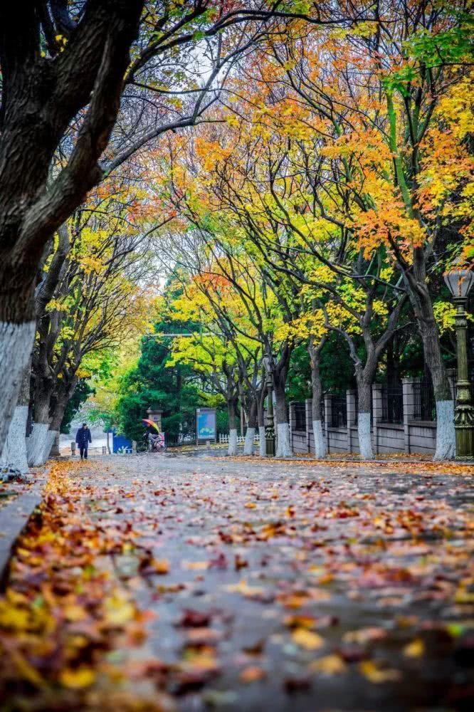 金秋十月，探尋最佳旅游勝地，金秋十月探尋最佳旅游勝地之旅
