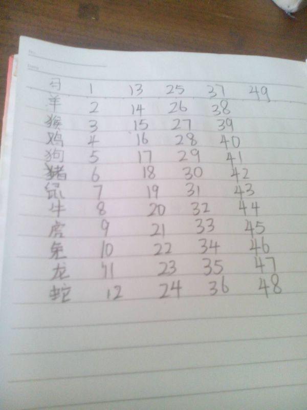 2025十二生肖與49碼表對照解析，十二生肖與49碼表對照解析 預(yù)測未來走向