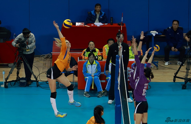 王中王三肖選一肖，深度解析與SEO策略，王中王三肖選一肖，深度解析與SEO策略全攻略