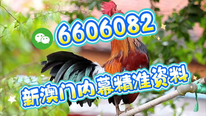 澳門特馬今天開獎結(jié)果，揭秘彩票背后的秘密，澳門特馬今天開獎結(jié)果揭秘，彩票背后的秘密大揭曉