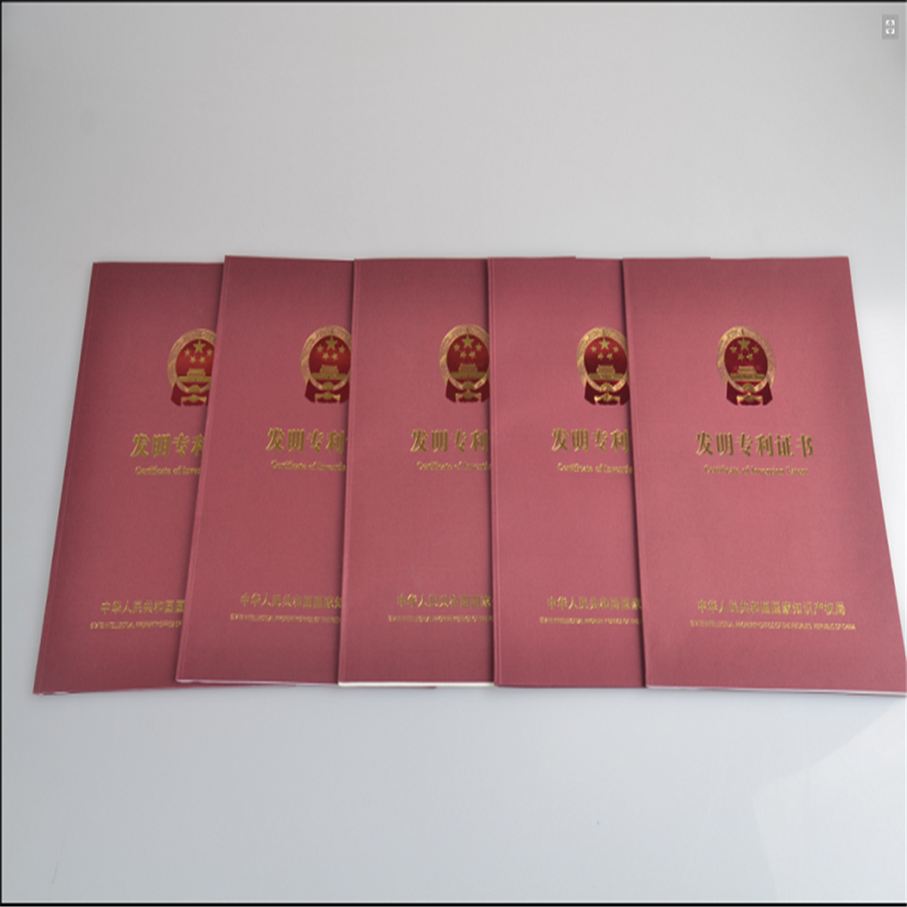 澳門王中王最快開獎結(jié)果2017年回顧與展望，澳門王中王開獎結(jié)果回顧與展望，2017年回顧與未來展望