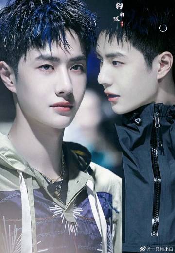 王中王一肖資料解析，一肖特的獨(dú)特魅力，王中王一肖資料深度解析，一肖特的獨(dú)特魅力探究