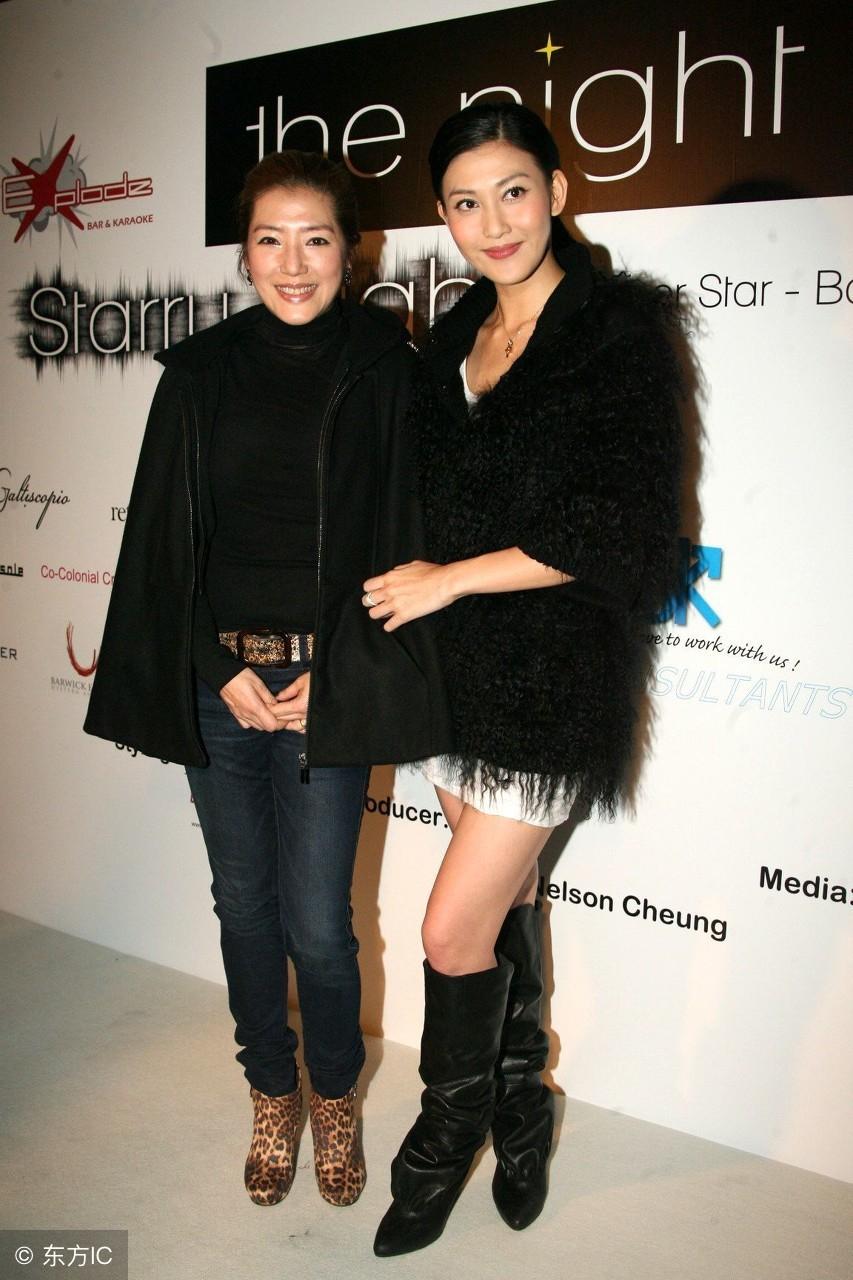 杜淳主演的電視劇全覽，演藝之路的璀璨篇章，杜淳主演電視劇全覽，演藝之路的輝煌篇章