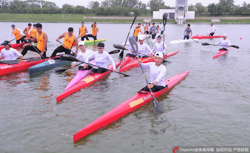 王中王一碼一肖免費公開，揭秘精準預測的秘密，揭秘王中王一碼一肖精準預測的秘密，免費公開揭秘！