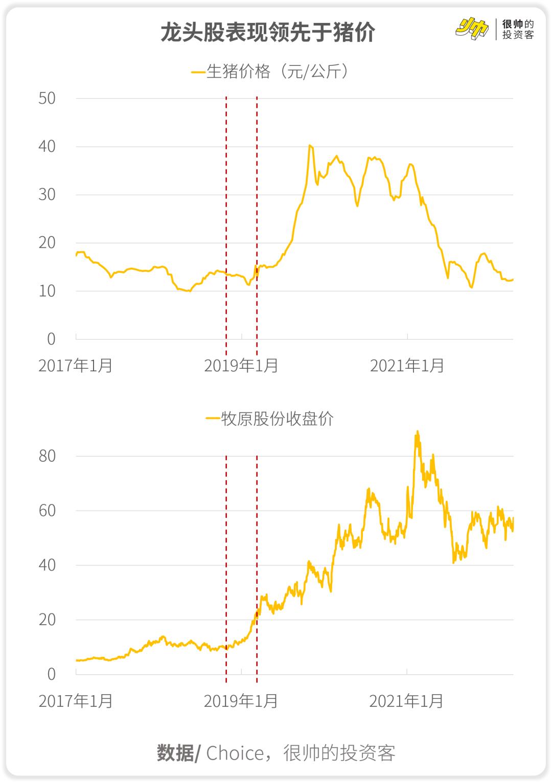 牧原股份股票行情深度解析，牧原股份股票行情全面深度解析