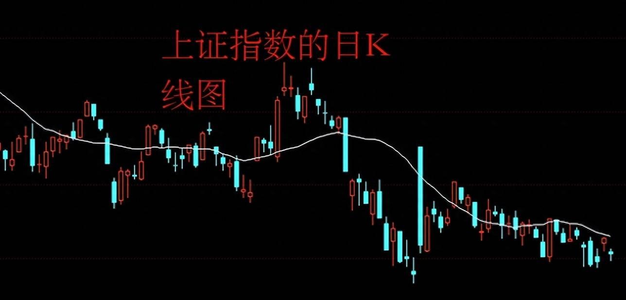 海天食品股票，投資潛力與市場前景分析，海天食品股票投資潛力與市場前景深度解析