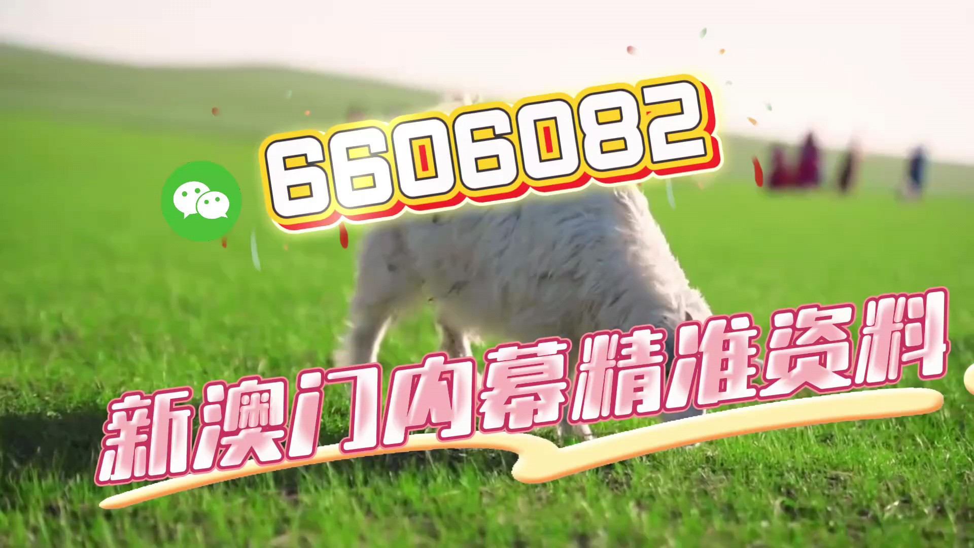 澳門王中王，揭秘一肖一特一中奧秘，澳門王中王揭秘生肖秘密，一肖一特一中奧秘探秘