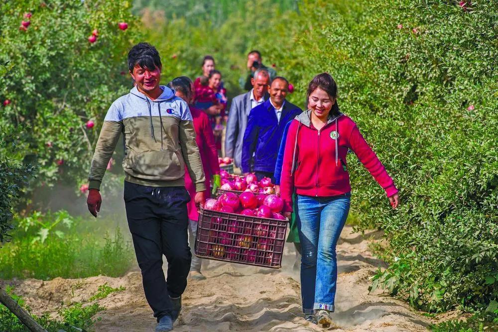 新浪澳門足球動(dòng)態(tài)，賽場內(nèi)外的精彩瞬間與未來展望，新浪澳門足球動(dòng)態(tài)，賽場內(nèi)外精彩瞬間與未來展望