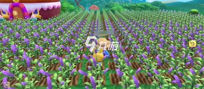 摩爾莊園紫羅蘭種子，種植與優(yōu)化的SEO策略，摩爾莊園紫羅蘭種子種植與SEO策略優(yōu)化指南