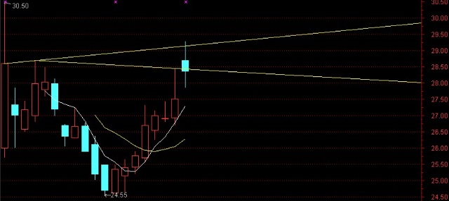 探索神秘的股市密碼，關(guān)于002554股吧的深度解析，深度解析股市密碼，揭秘002554股吧奧秘
