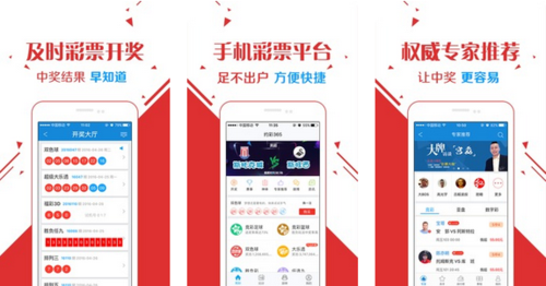 王中王玄機平特一肖中特，深度解析與探索，王中王玄機彩，深度解析與探索平特一肖中特現(xiàn)象