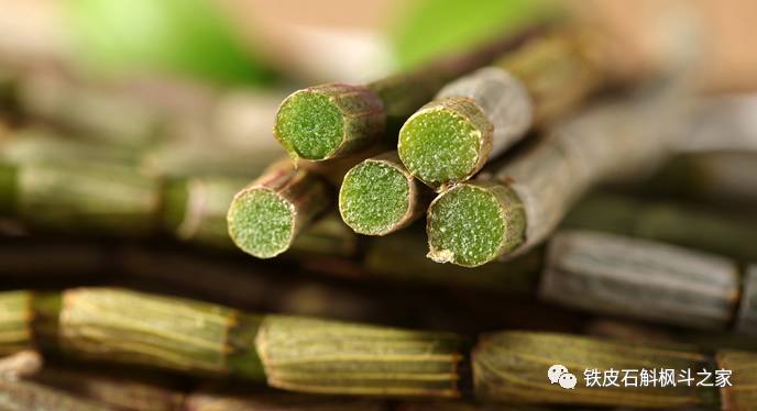 女人吃石斛的潛在風(fēng)險(xiǎn)與注意事項(xiàng)，女人食用石斛的潛在風(fēng)險(xiǎn)及注意事項(xiàng)