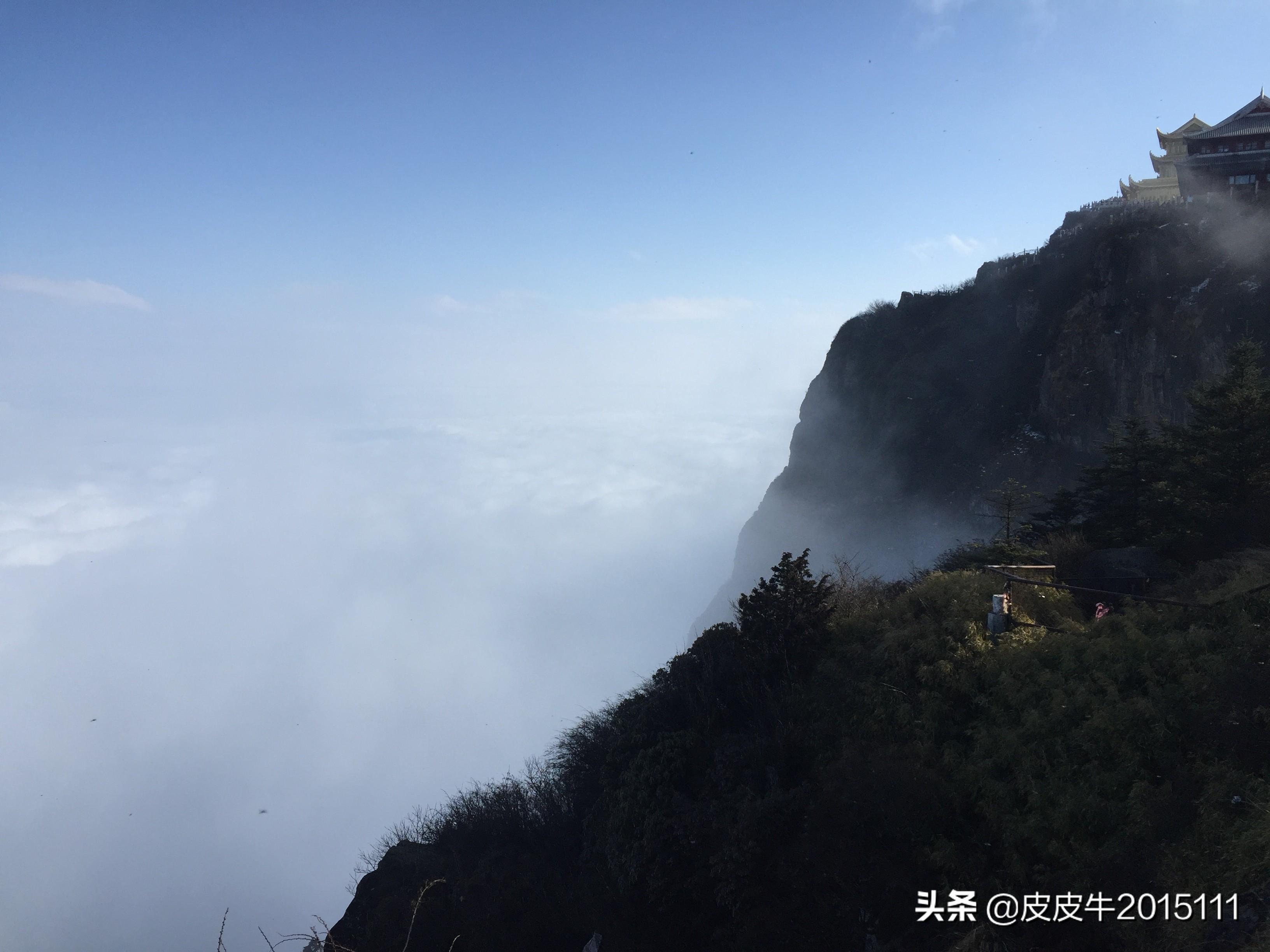 成都峨眉山一日游攻略，領(lǐng)略自然美景，體驗(yàn)文化之旅，成都峨眉山一日游，自然美景與文化之旅的完美結(jié)合攻略