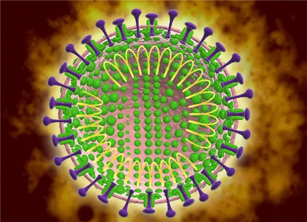 新型冠狀病毒的治療方法，科學(xué)應(yīng)對(duì)，守護(hù)健康，科學(xué)應(yīng)對(duì)新型冠狀病毒，治療方法與守護(hù)健康之道