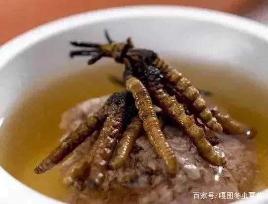 蟲草的最佳吃法，蟲草的最佳食用方法