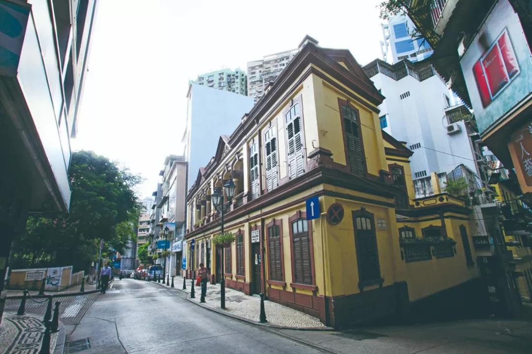 澳門今晚必開一肖與狗年運(yùn)勢(shì)揭秘，澳門今晚必開生肖與狗年運(yùn)勢(shì)大揭秘