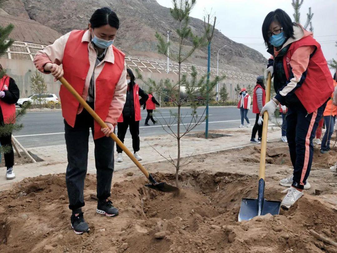 天下彩天天空彩資料免費(fèi)大全管家，探索與解析，天下彩天天空彩資料大全管家，深度探索與解析