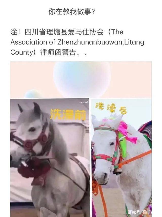 一馬爆特圖，揭秘背后的故事與SEO優(yōu)化策略，揭秘一馬爆特圖的背后故事與SEO優(yōu)化策略全攻略