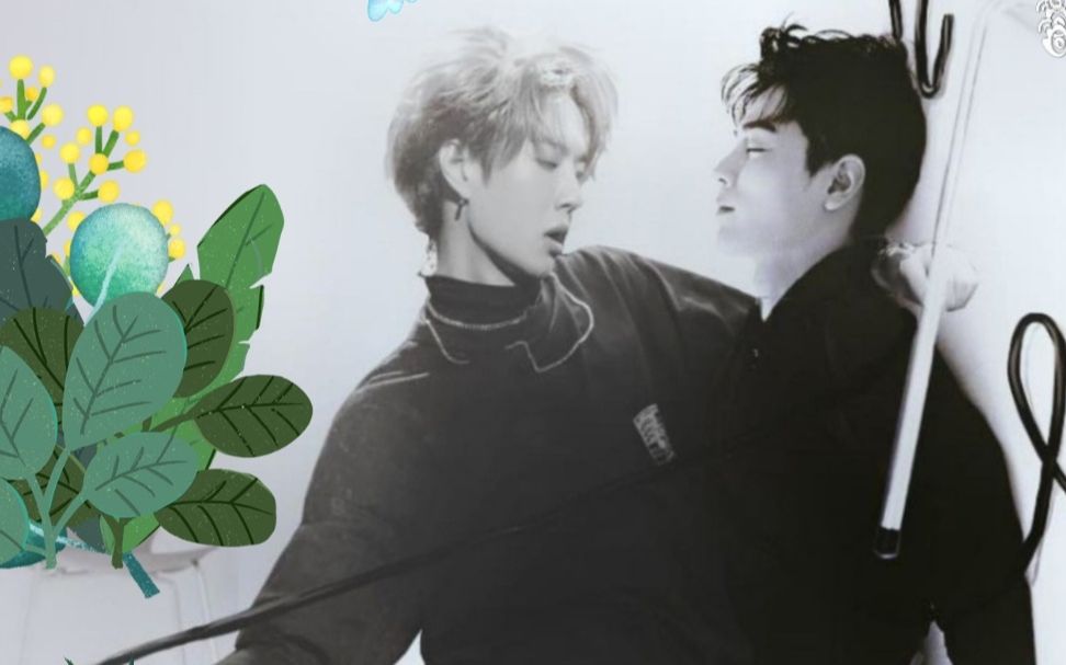 關(guān)于白小王中王一肖中特的SEO文章，王一肖SEO秘籍，白小王中王的關(guān)鍵優(yōu)化策略