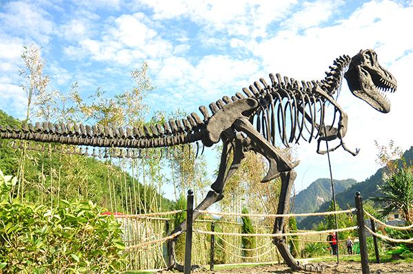 成都市區(qū)內(nèi)好玩的地方，探索魅力之都的無限樂趣，探索成都市區(qū)魅力，無限樂趣的游玩之地